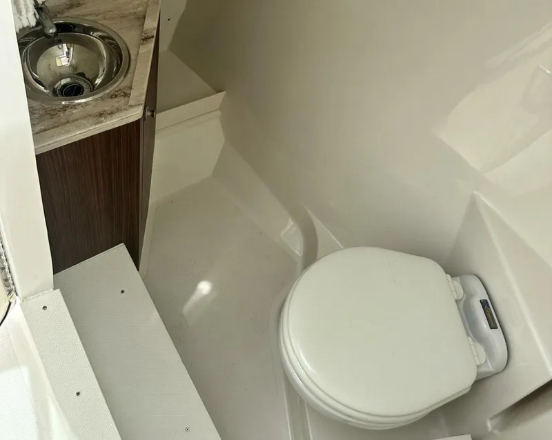 Slide: The Image of Pursuit DC 295 2023 - 5708576