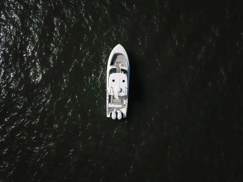 Slide: The Image of Pursuit DC 295 2023 - 5708561