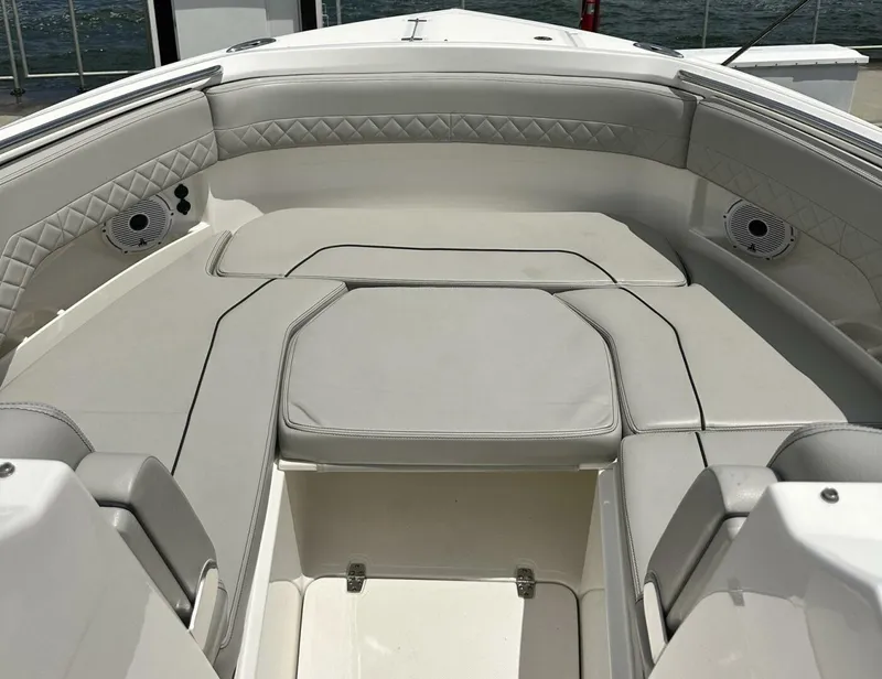 Slide: The Image of Pursuit DC 295 2023 - 5708567