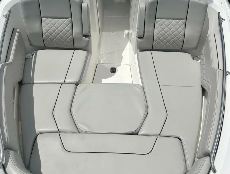 Slide: The Image of Pursuit DC 295 2023 - 5708568