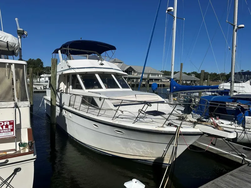 The Image of 1001 Padraigin - 5786099