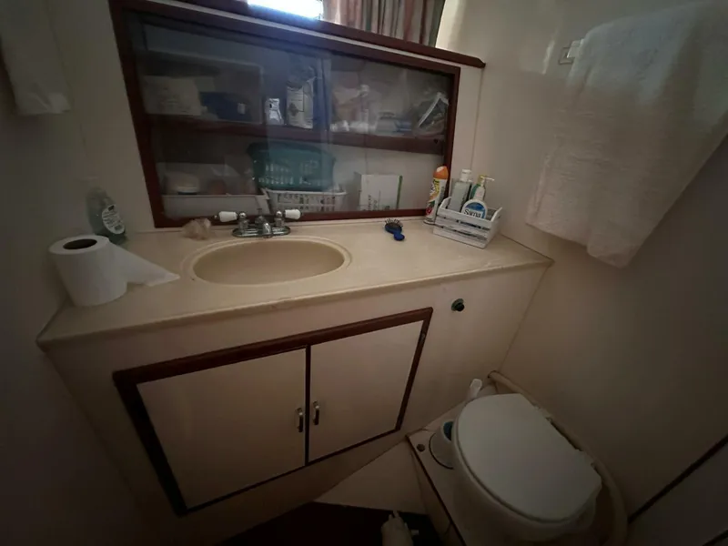 Slide: The Image of 1022 Padraigin Forward Guest Head - 5786127