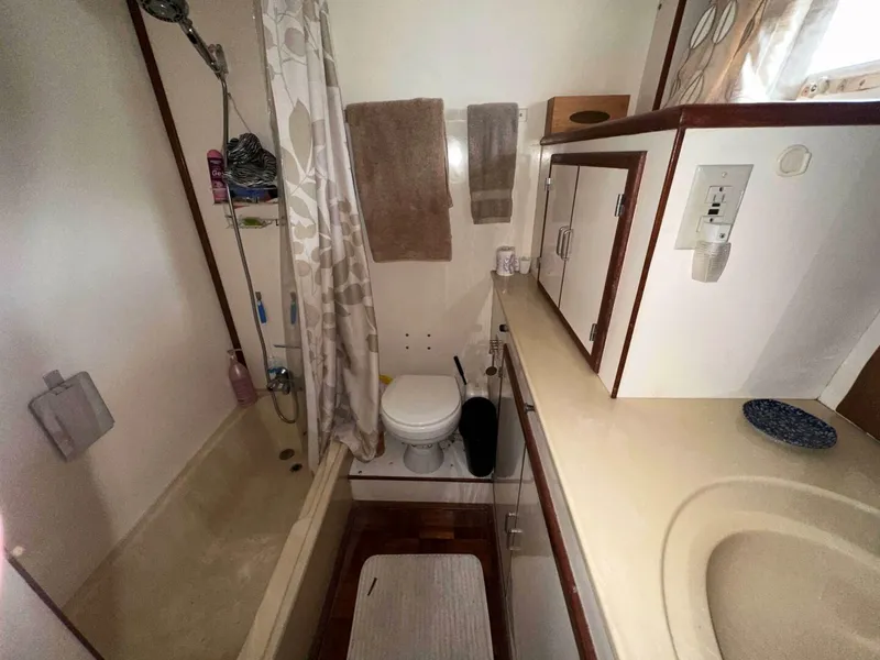 Slide: The Image of 1030 Padraigin Master Head - 5786135