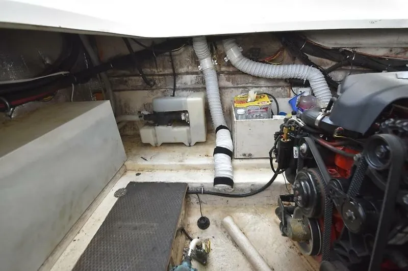 Slide: The Image of 0005263802 - 5711778