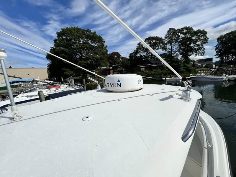 Slide: The Image of Hydra-Sports 2500 Vector 2009 - 5712176