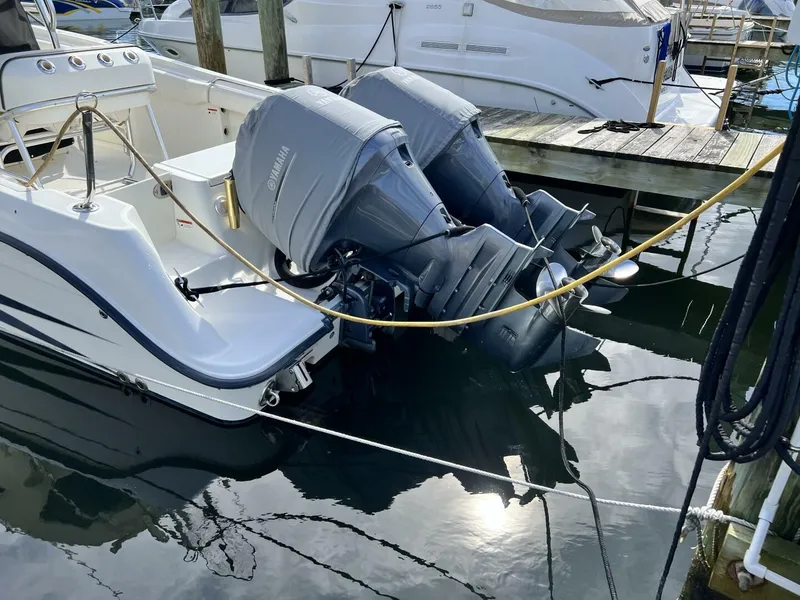 Slide: The Image of Hydra-Sports 2500 Vector 2009 - 5712172