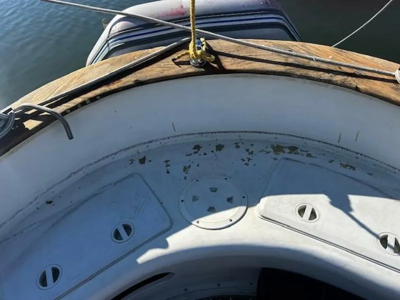 Slide: The Image of Willard Vega 1972 - 5713046