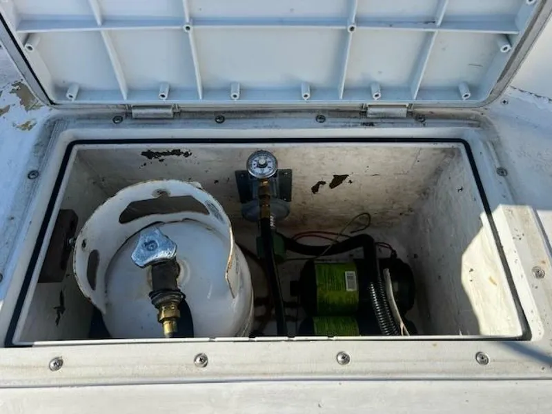 Slide: The Image of Willard Vega 1972 - 5713048