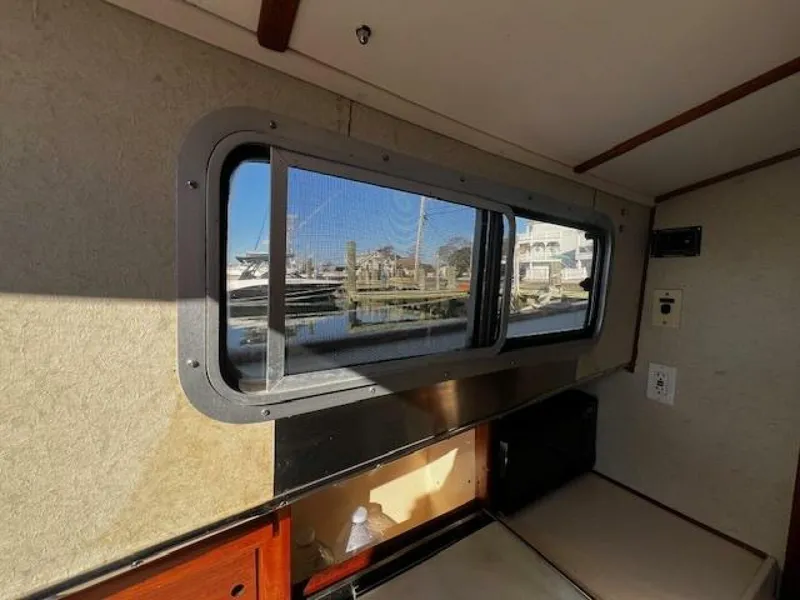 Slide: The Image of Willard Vega 1972 - 5713052