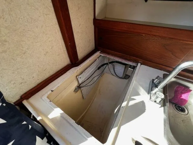 Slide: The Image of Willard Vega 1972 - 5713053