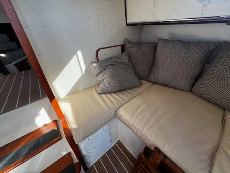 Slide: The Image of Willard Vega 1972 - 5713063