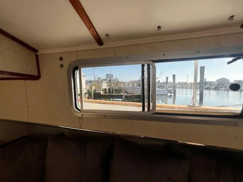 Slide: The Image of Willard Vega 1972 - 5713064