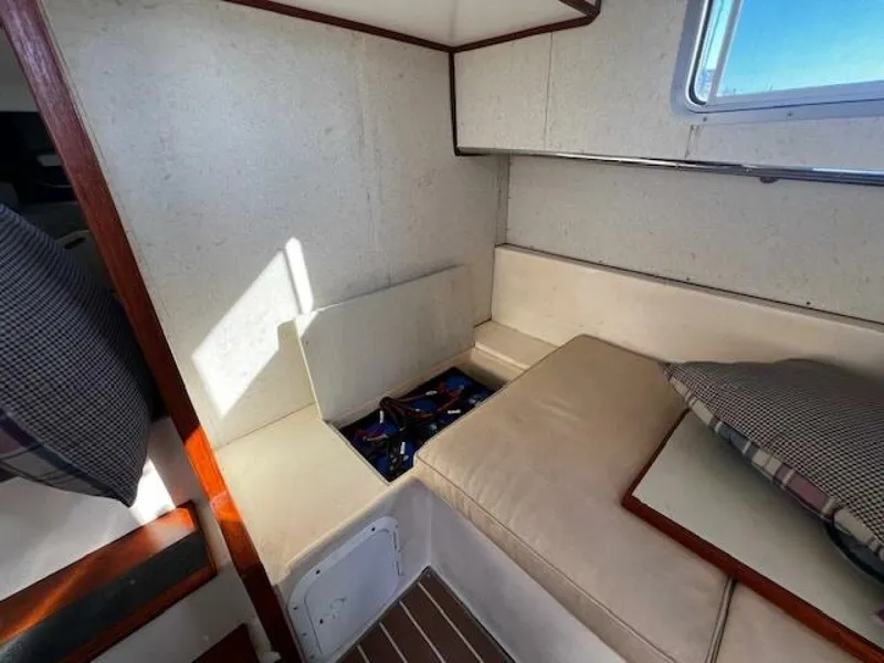 Slide: The Image of Willard Vega 1972 - 5713067