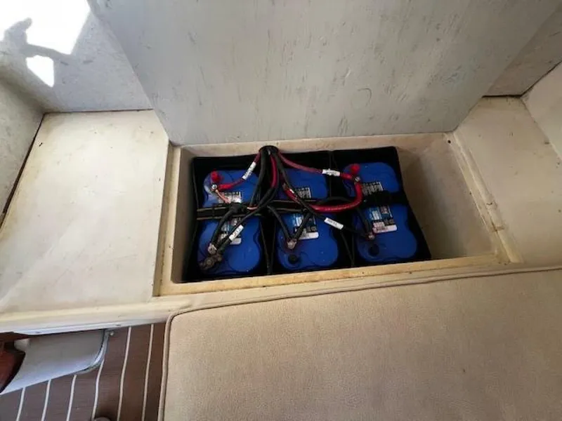 Slide: The Image of Willard Vega 1972 - 5713068