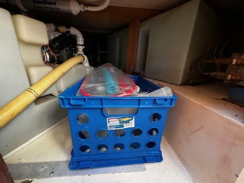 Slide: The Image of Willard Vega 1972 - 5713074