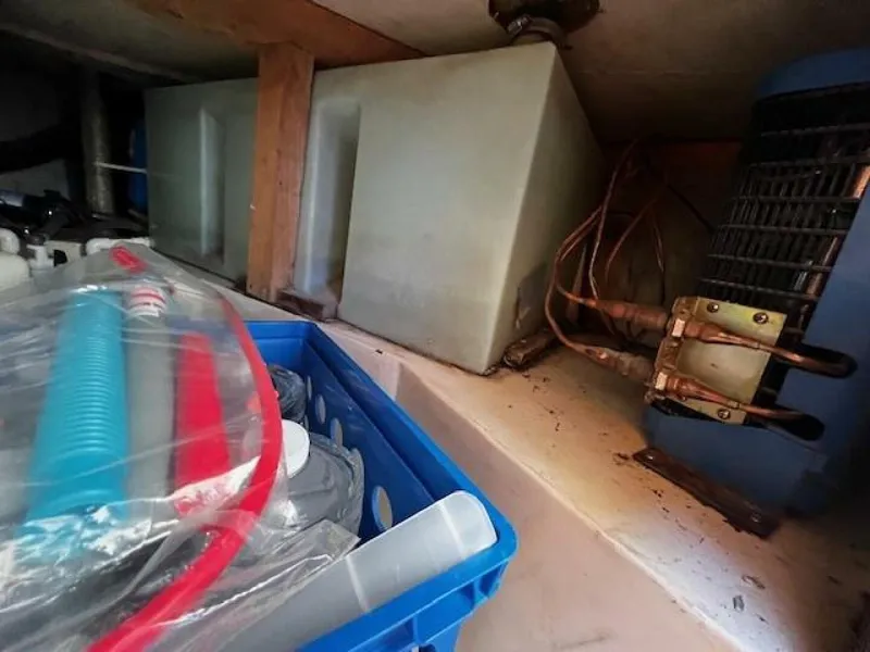 Slide: The Image of Willard Vega 1972 - 5713076