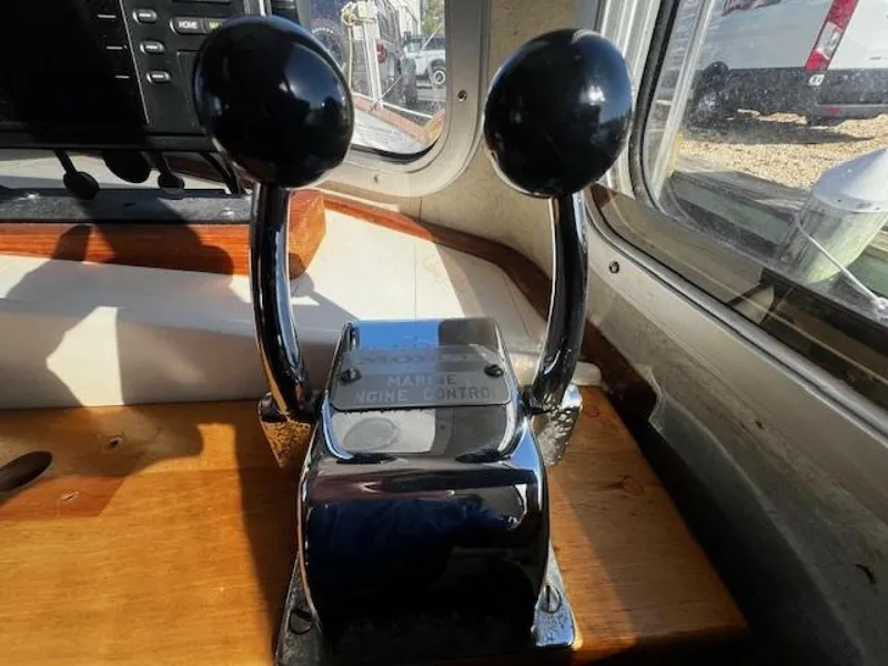 Slide: The Image of Willard Vega 1972 - 5713090