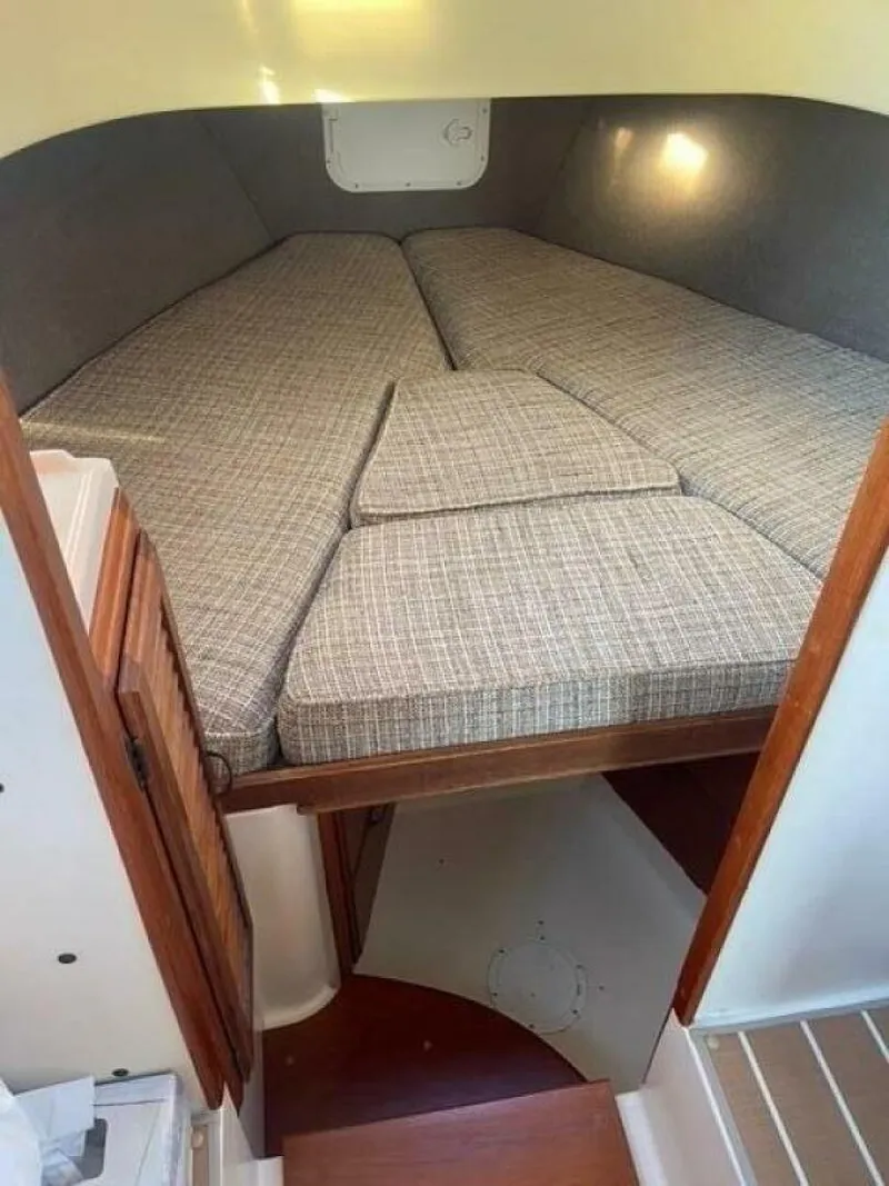 Slide: The Image of Willard Vega 1972 - 5713117