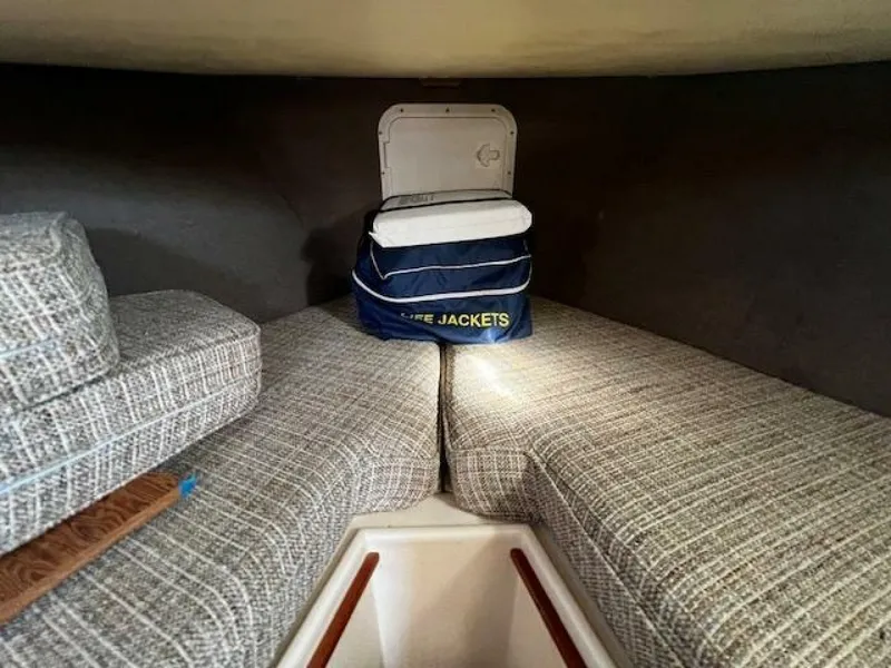 Slide: The Image of Willard Vega 1972 - 5713098