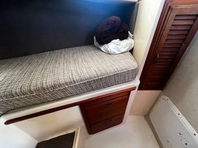 Slide: The Image of Willard Vega 1972 - 5713099