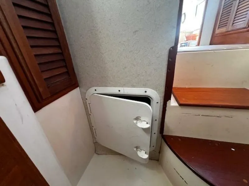 Slide: The Image of Willard Vega 1972 - 5713105