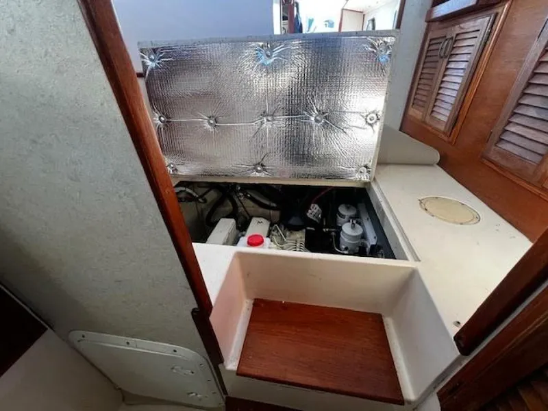 Slide: The Image of Willard Vega 1972 - 5713107