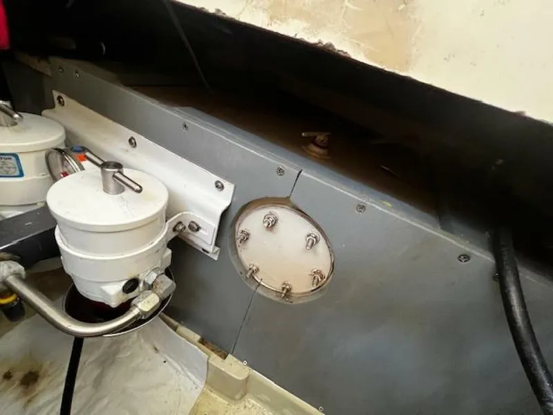 Slide: The Image of Willard Vega 1972 - 5713109