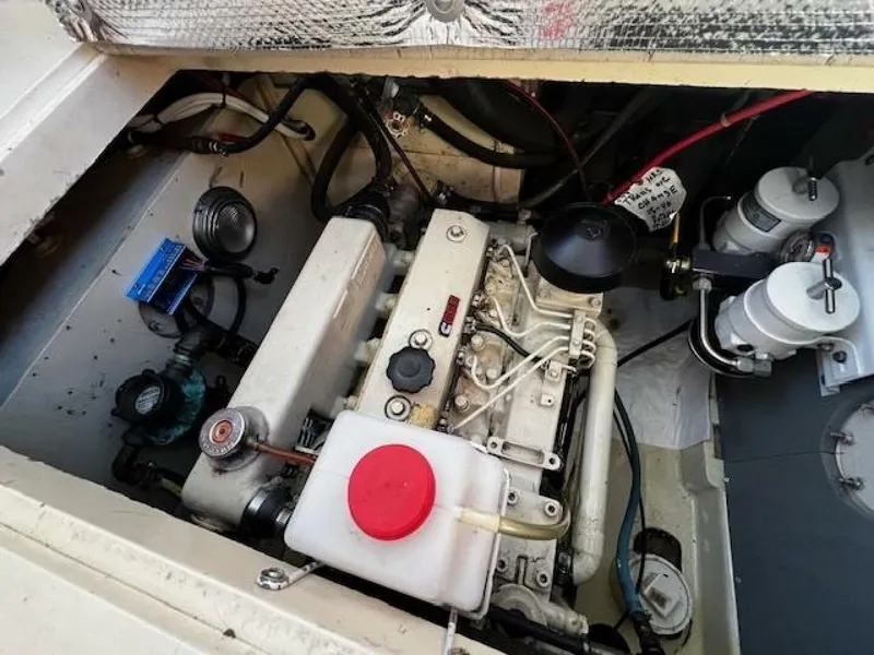 Slide: The Image of Willard Vega 1972 - 5713110