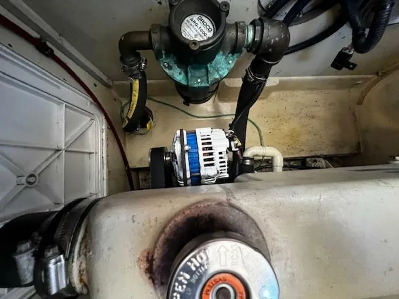 Slide: The Image of Willard Vega 1972 - 5713111