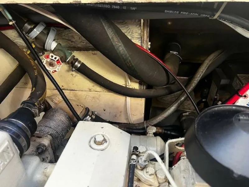 Slide: The Image of Willard Vega 1972 - 5713113