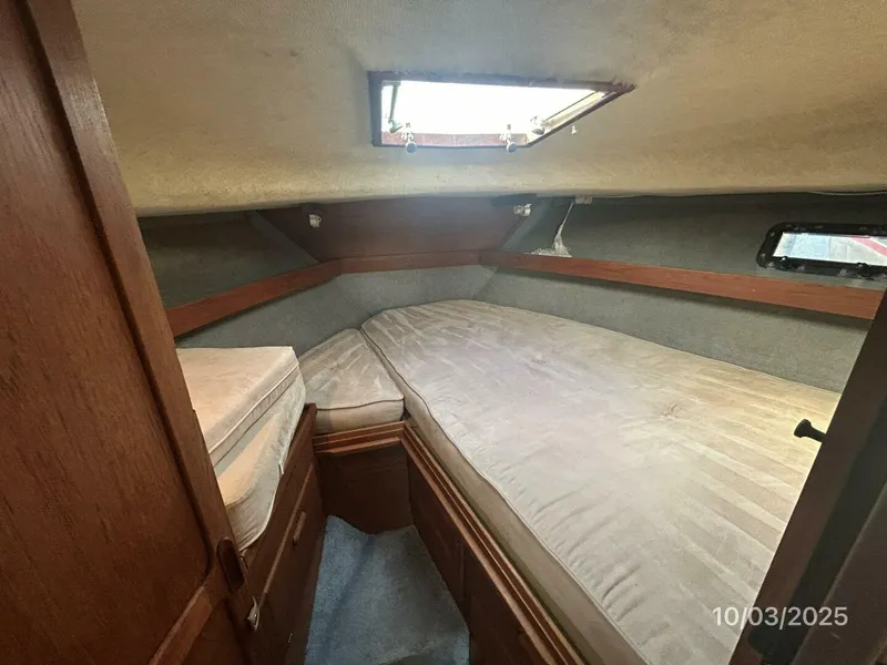 Slide: The Image of 31' Pursuit stateroom - 5719035