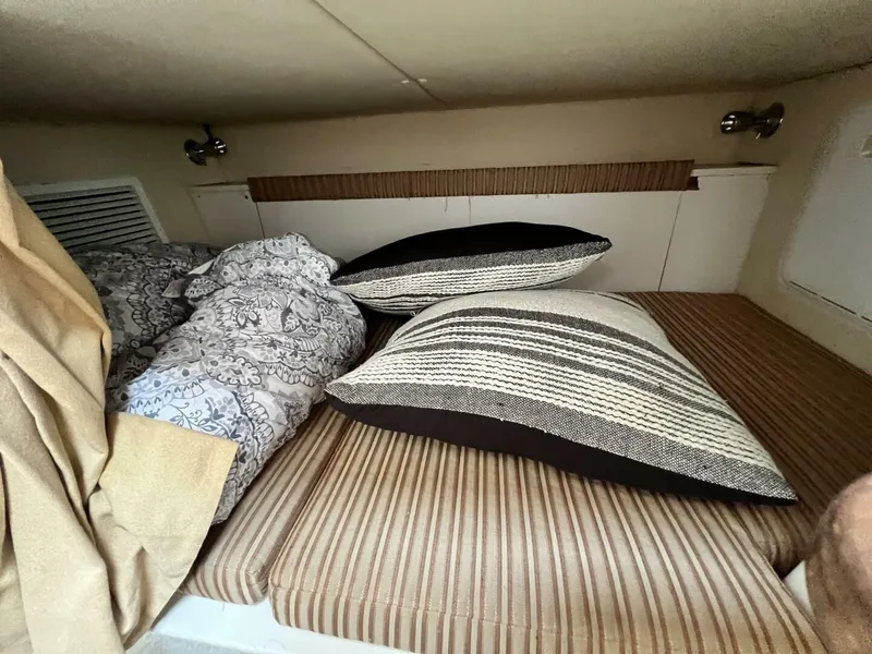 Slide: The Image of Hydra-Sports 2900 VX 2007 - 5716536