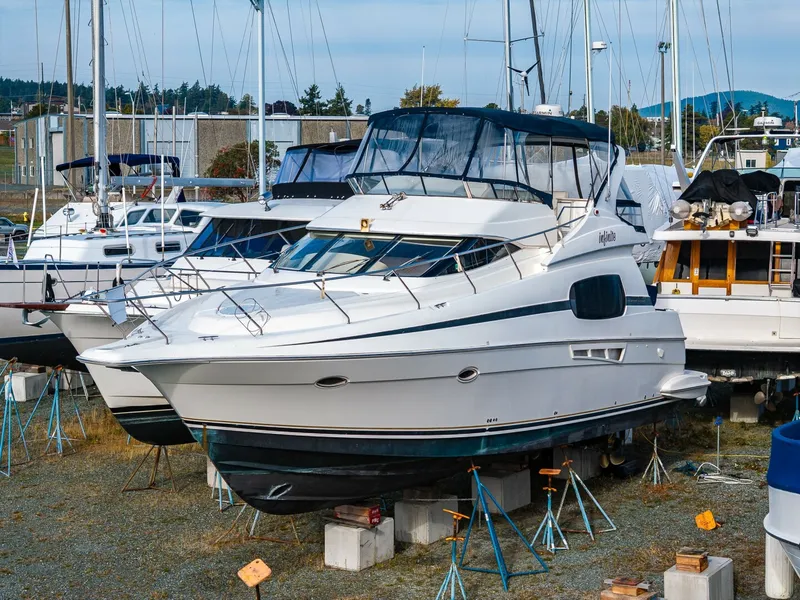 The Image of Silverton Sport Bridge 2001 - 5717143