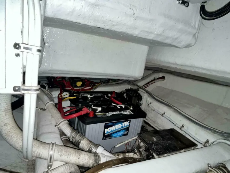 Slide: The Image of Bertram 390 Convertable 2006 - 5770695