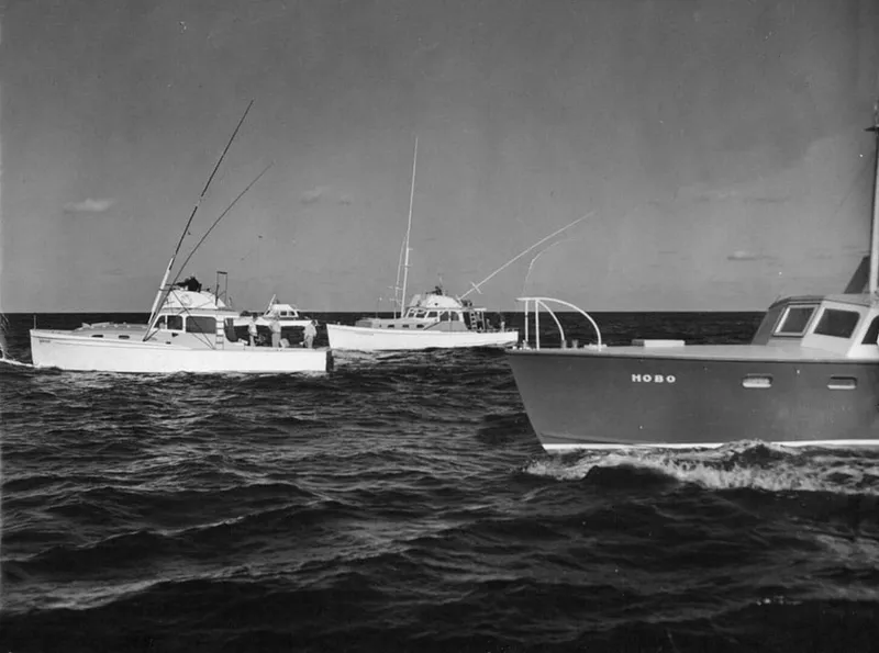 Slide: The Image of Whiticar 62 Convertible 1971 - 5723234