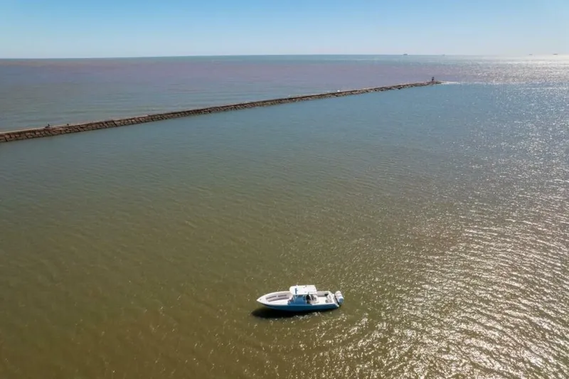 Slide: The Image of 2019 Invincible 39 Open - 5720983