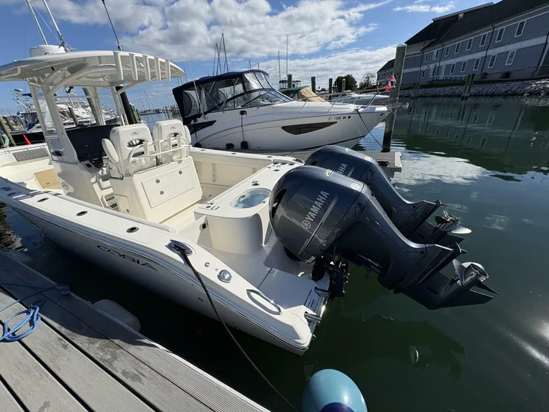 Slide: The Image of Cobia 28 2022 - 5721038