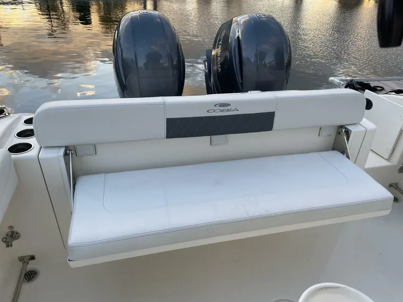 Slide: The Image of Cobia 28 2022 - 5721119