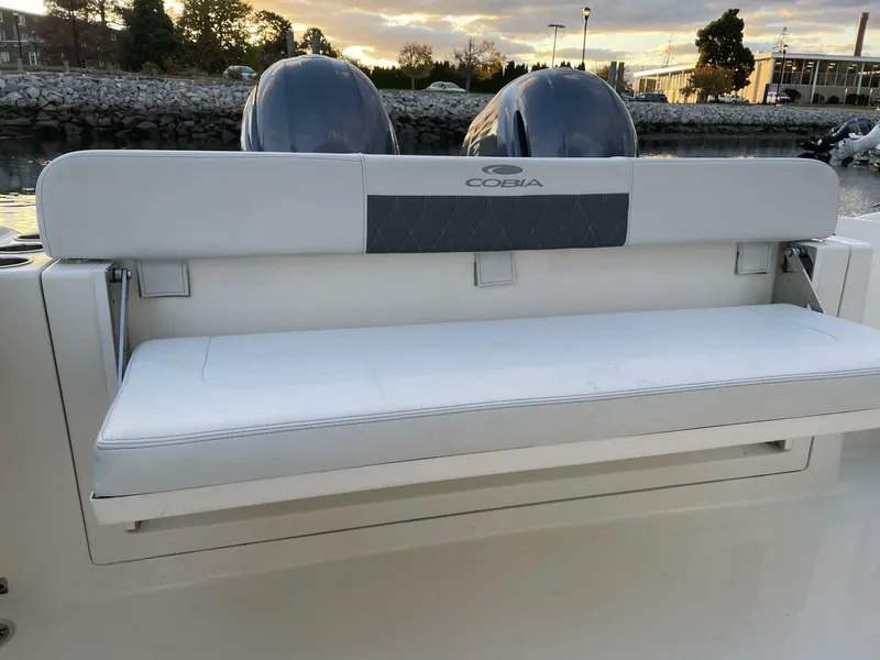 Slide: The Image of Cobia 28 2022 - 5721120