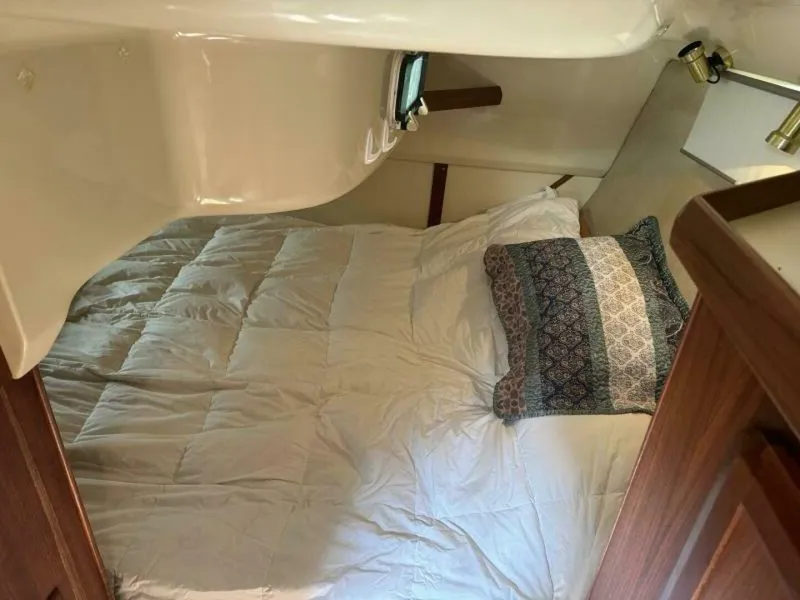 Slide: The Image of Hunter 336 1995 - 5721948