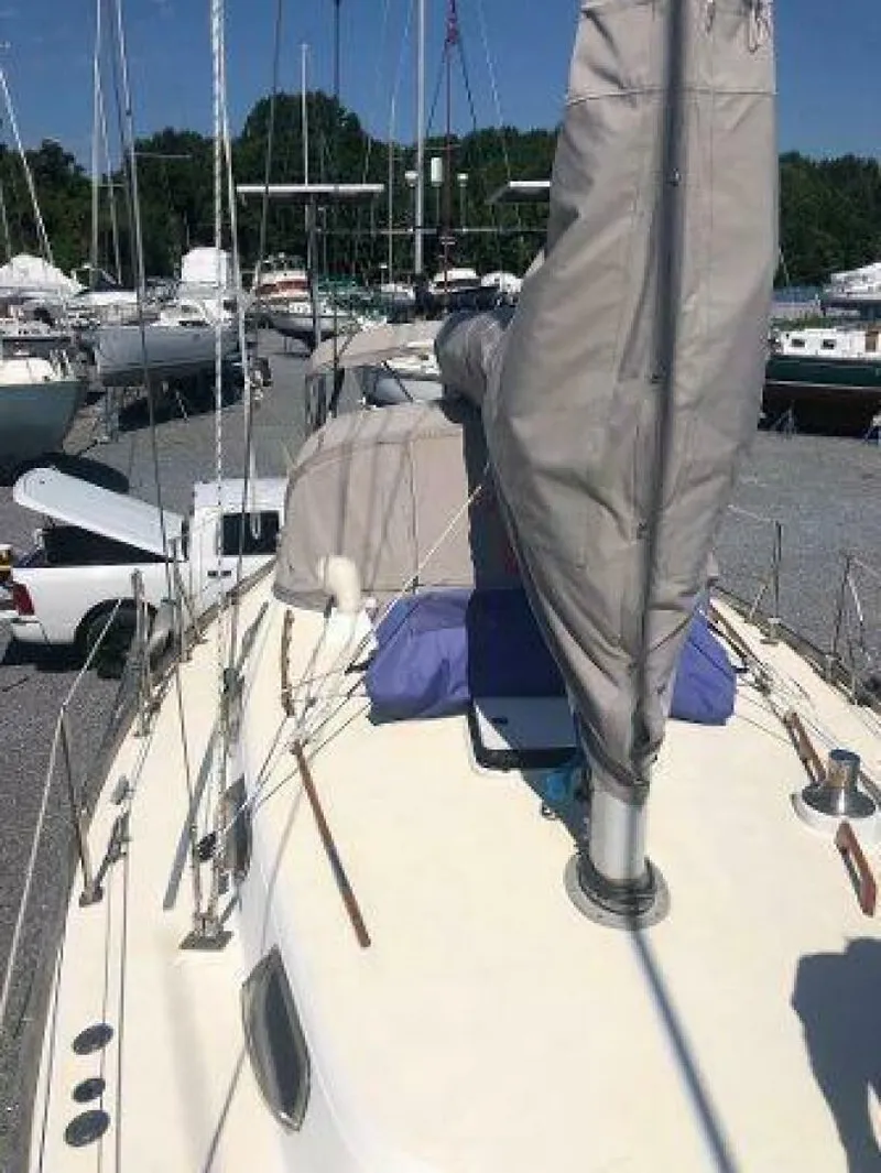 Slide: The Image of Tartan 33 1982 - 5727389