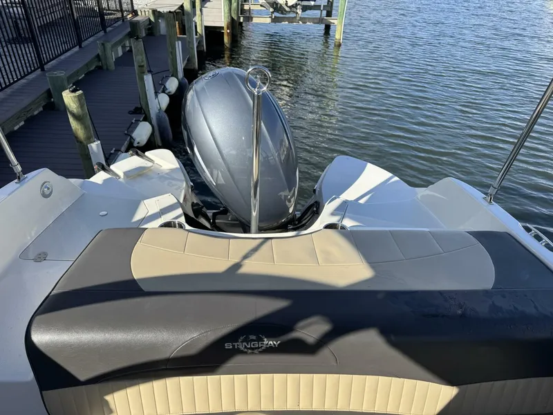 Slide: The Image of Stingray 234LR 2019 - 5727750