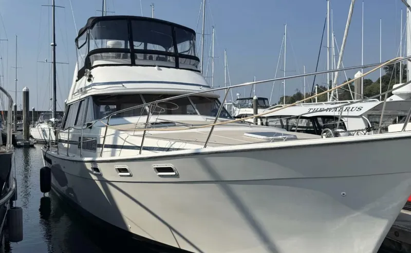 The Image of Bayliner 3870 Motoryacht 1984 - 5730305
