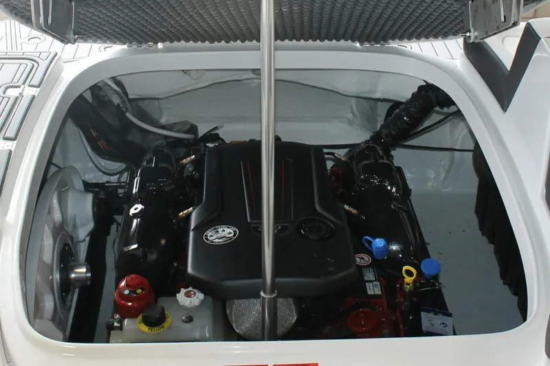 Slide: The Image of Bryant Potenza 2018 - 5732201