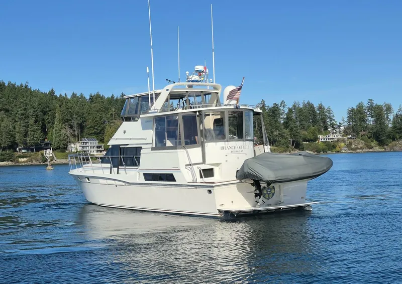 Slide: The Image of Camargue 48 1990 - 5733159