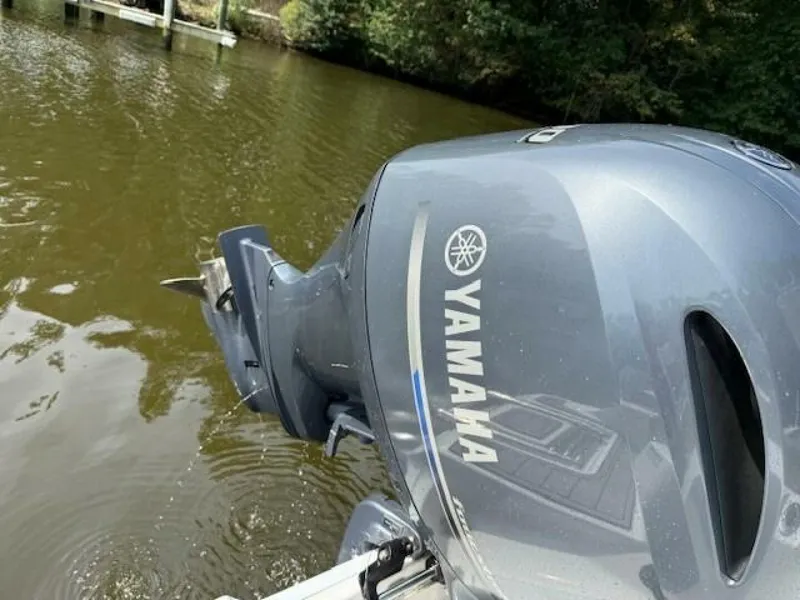 Slide: The Image of Sea Fox 22 2024 - 5736370