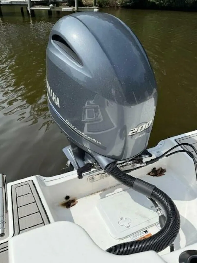 Slide: The Image of Sea Fox 22 2024 - 5736374