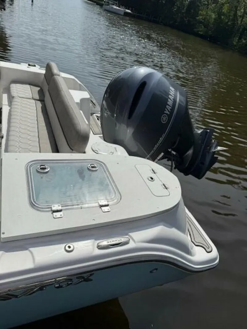 Slide: The Image of Sea Fox 22 2024 - 5736386