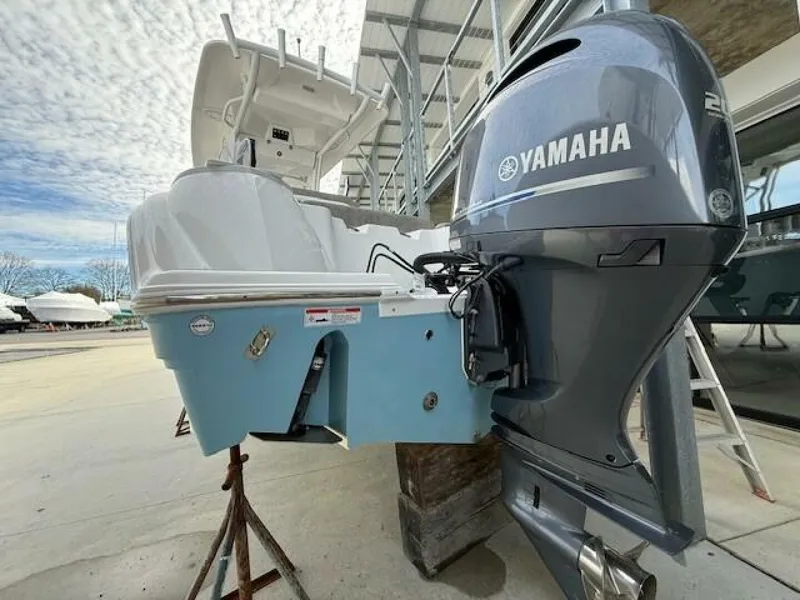 Slide: The Image of Sea Fox 22 2024 - 5880343