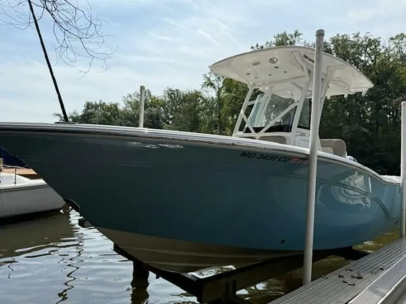 Slide: The Image of Sea Fox 22 2024 - 5736369